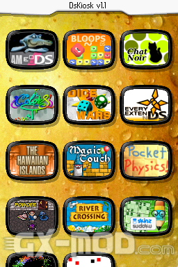 dskiosk.png