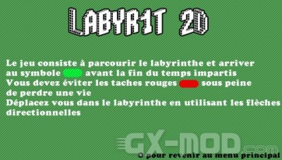 labyr1t2d-4.jpg