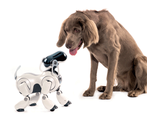 aibo.png